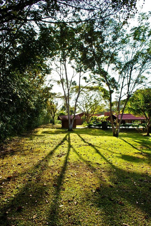 Natural Lodge Cano Negro Екстер'єр фото