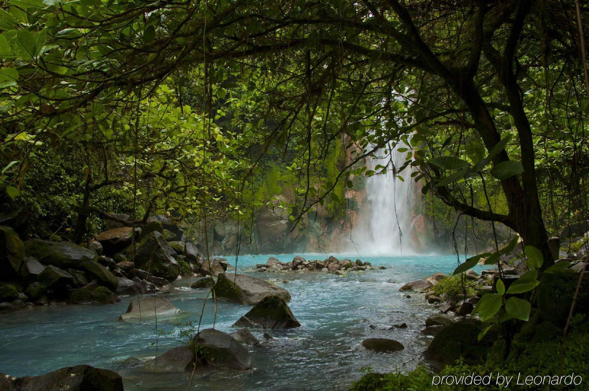 Natural Lodge Cano Negro Екстер'єр фото