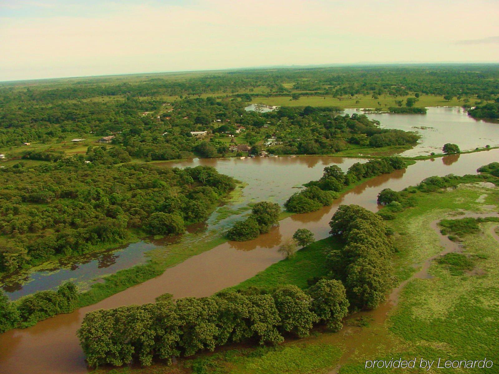 Natural Lodge Cano Negro Екстер'єр фото